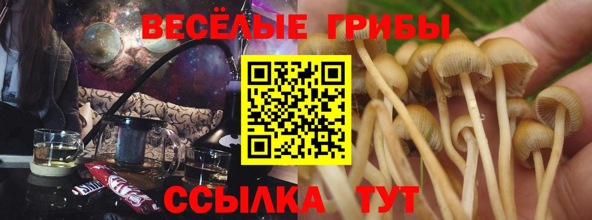 Псилоцибиновые грибы мухоморы Луховицы
