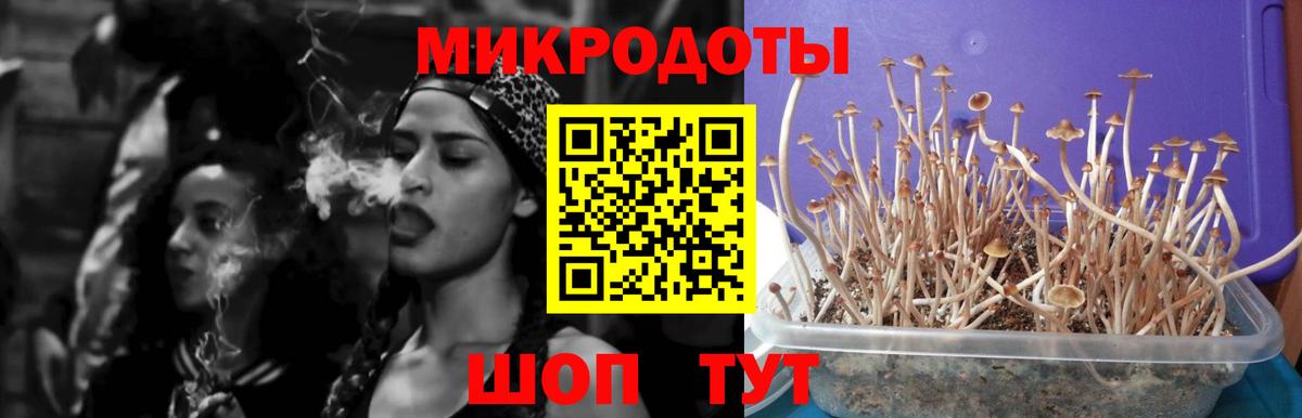 Луховицы  Галлюциногенные грибы MAGIC MUSHROOMS  Вход с VPN 
